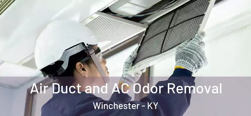  Air Duct and AC Odor Removal Winchester - KY