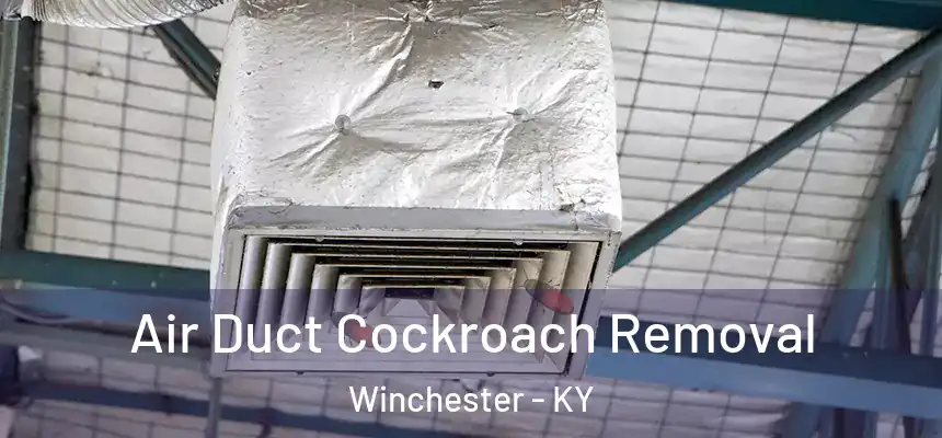  Air Duct Cockroach Removal Winchester - KY