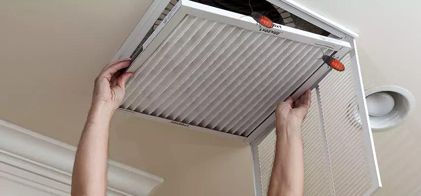 Preventive Cockroach-Proofing for Ducts in Winchester