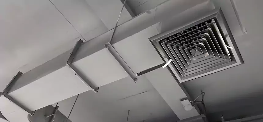 Restorative Allergy Relief Vent Cleaning – Coil, Blower & Housing Detail in Winchester