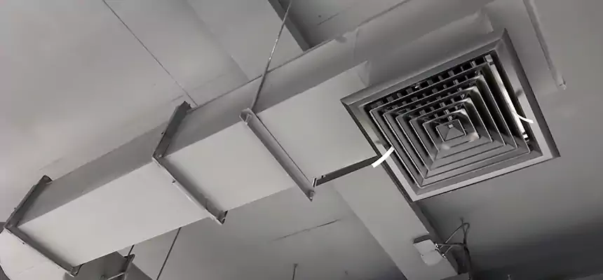 Our Pest Removal From Ducts Services in Winchester, KY