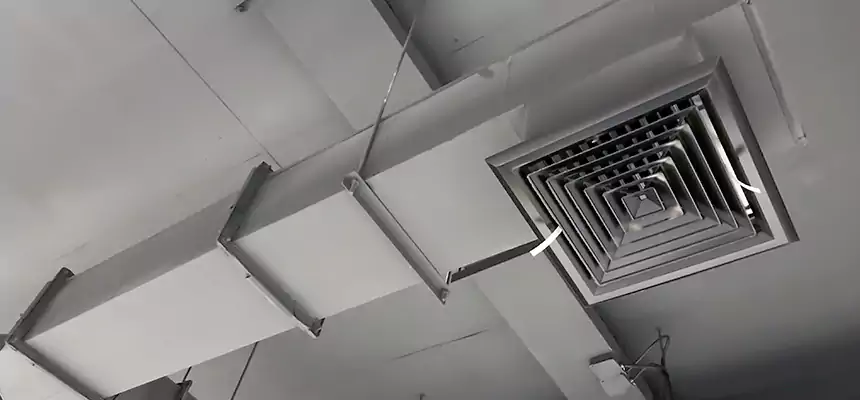 Our Rodent Droppings In Vents Services in Winchester, KY