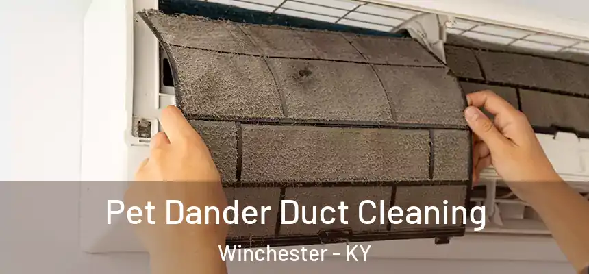  Pet Dander Duct Cleaning Winchester - KY