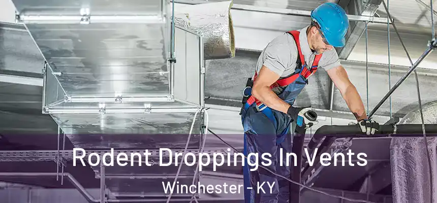  Rodent Droppings In Vents Winchester - KY