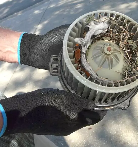 About Air Duct Mice Removal in Winchester, KY