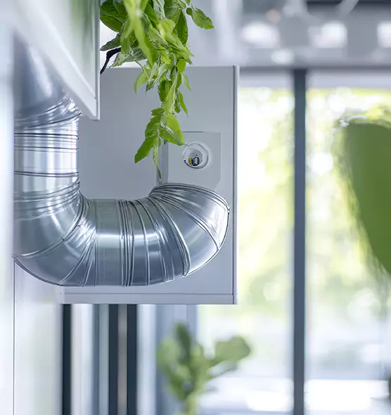 Professional Eco-Friendly Duct Cleaning Services in Winchester, KY