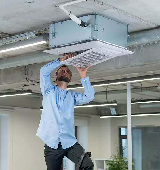 Advanced Rodent Droppings In Vents in Winchester, KY