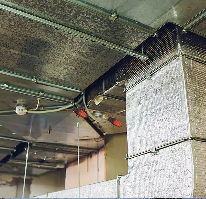 Why Homeowners & Businesses Trust Us Winchester, KY?